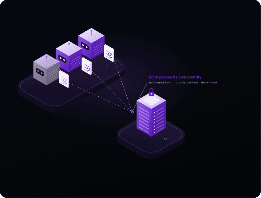 Agent Authentication