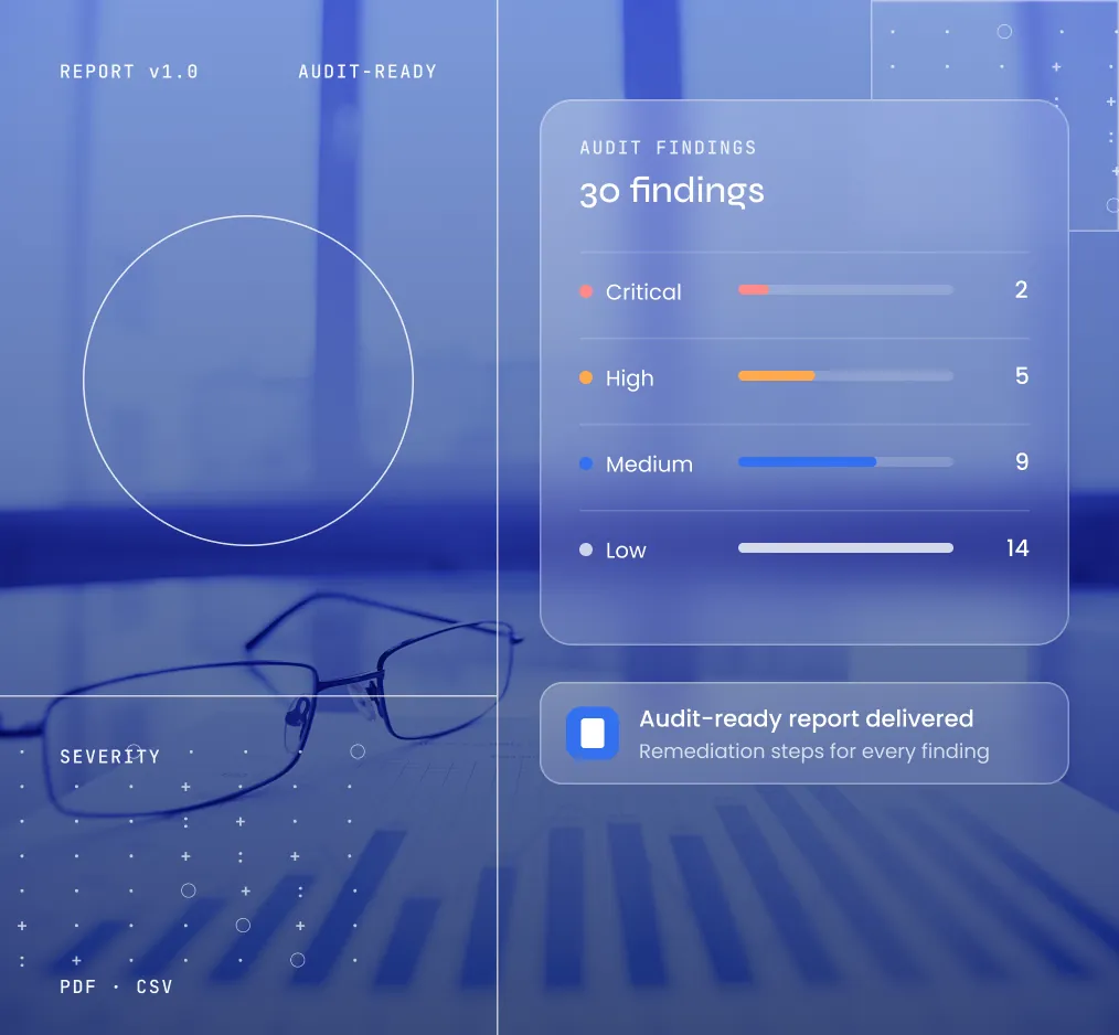 Findings Report
