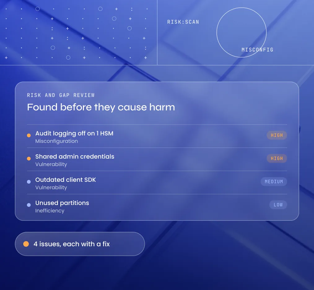 Risk and Gap Review