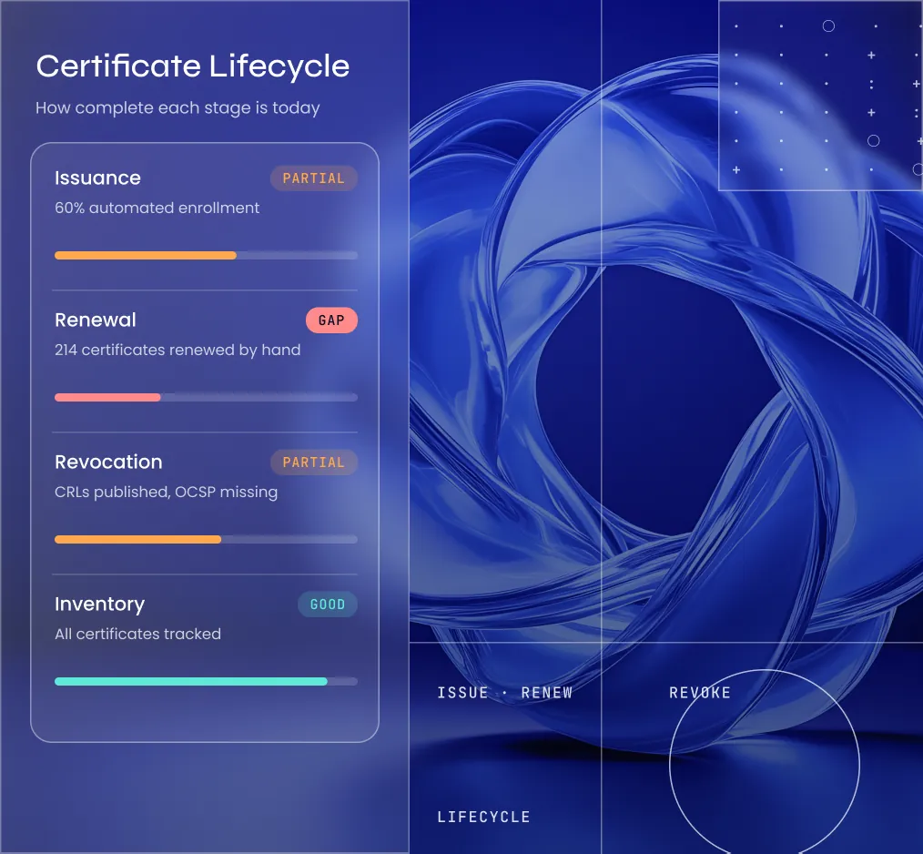 Lifecycle Analysis