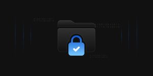 Data Privacy Laws for Encryption