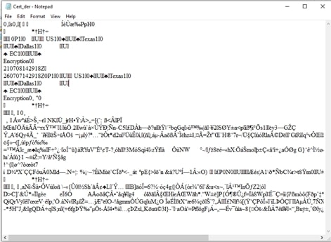 Change the DER file format