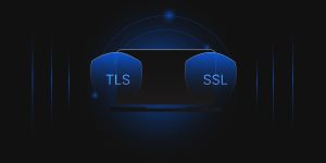 What is TLS/SSL?