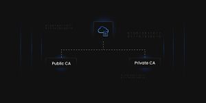 What are the two types of CA?