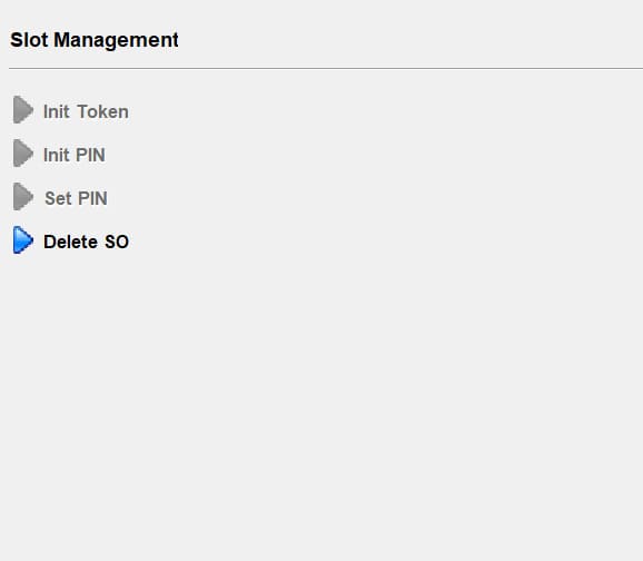 Enable Delete SO option