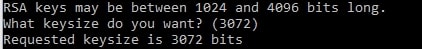 Key Size Selection