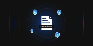 Types of SSL Certificates