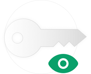 Execution-Aware Visibility