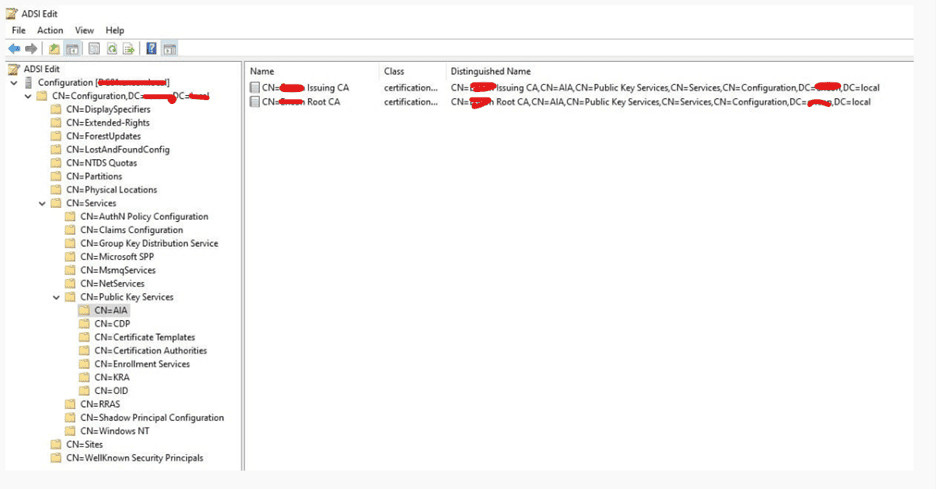 AIA (Authority Information Access) Container