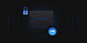 Public CA vs. Private CA