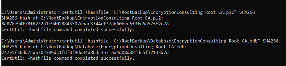 CA Backup Validation