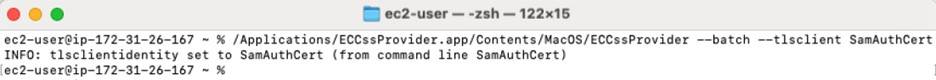 TLS client command output