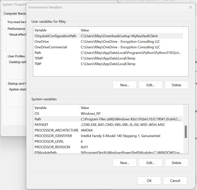 Windows Environment Variables dialog with the PATH system variable highlighted