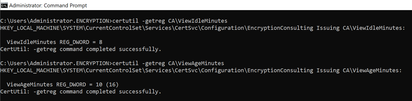 Command prompt showing the default registry values for ViewIdleMinutes and ViewAgeMinutes