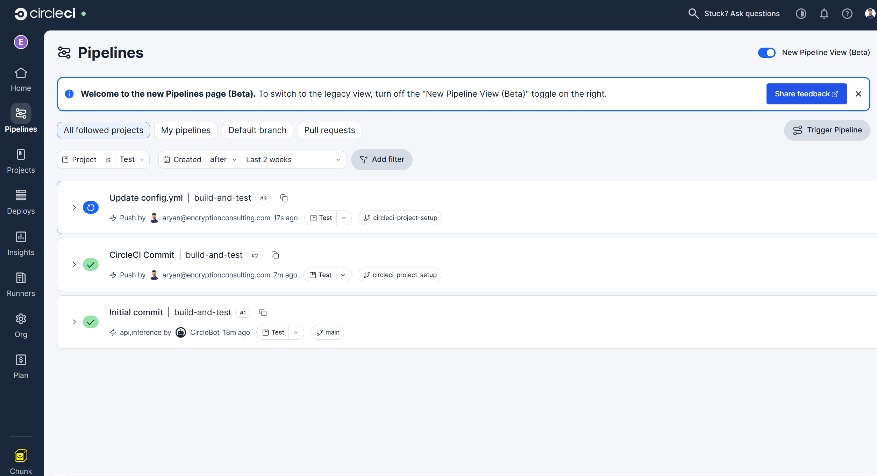 CircleCI Pipelines section in the left sidebar