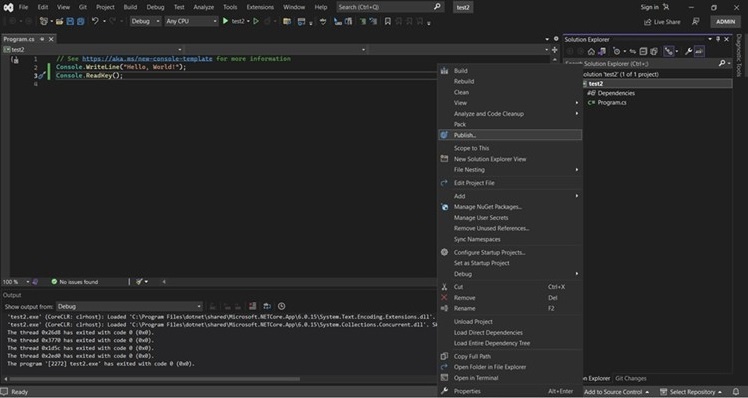 Visual Studio Solution Explorer with the Publish option selected