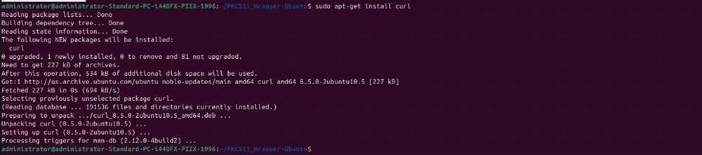 Terminal output showing curl being installed