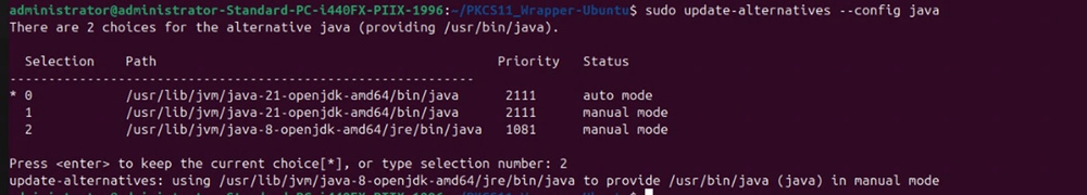 Terminal output showing the update-alternatives prompt for selecting the active Java version