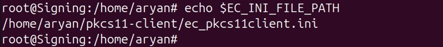 Echo ini path output