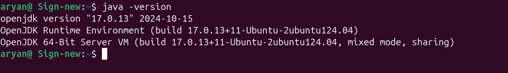 Java version check linux output