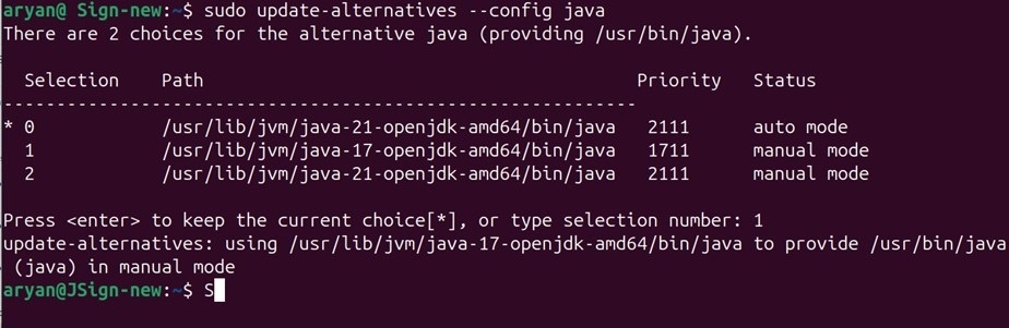 Java17 alternatives linux output